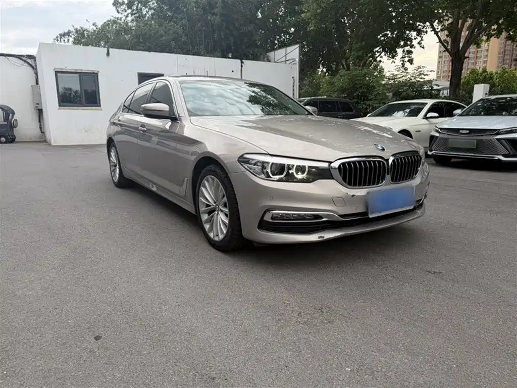 BMW 5 Series 2018 525Li Luxury Package фото 5