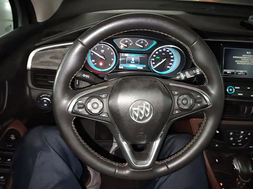 Buick Envision Plus 2014 28T 4WD Elite фото 7