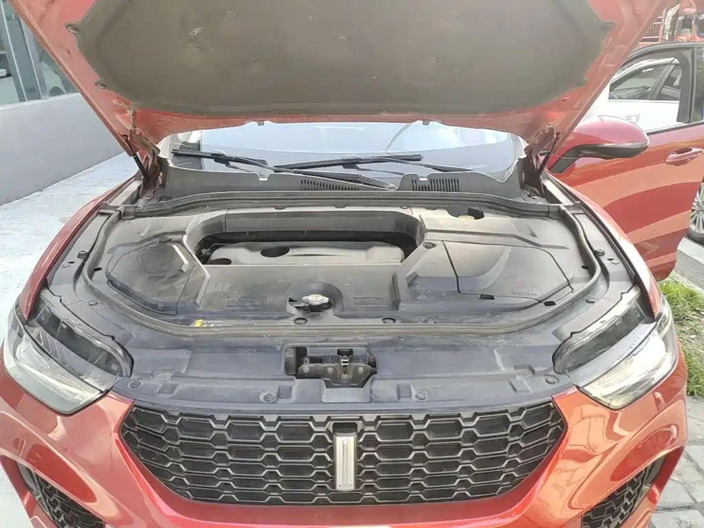 WEY VV5 2017 2017 2.0T Flagship Model