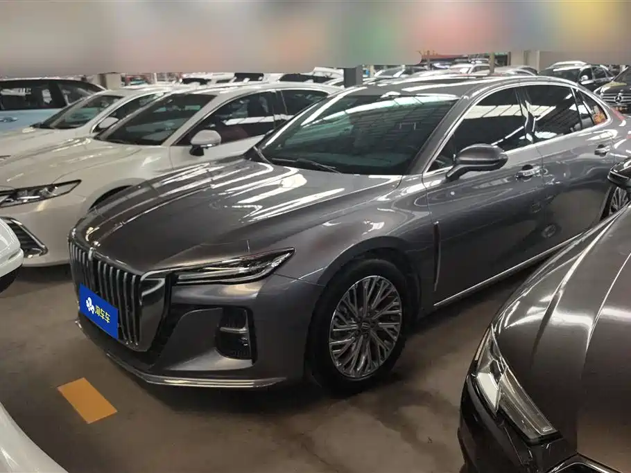 Hongqi H5 2023 2.0T Auto Smart Connect Flag Comfort фото 2