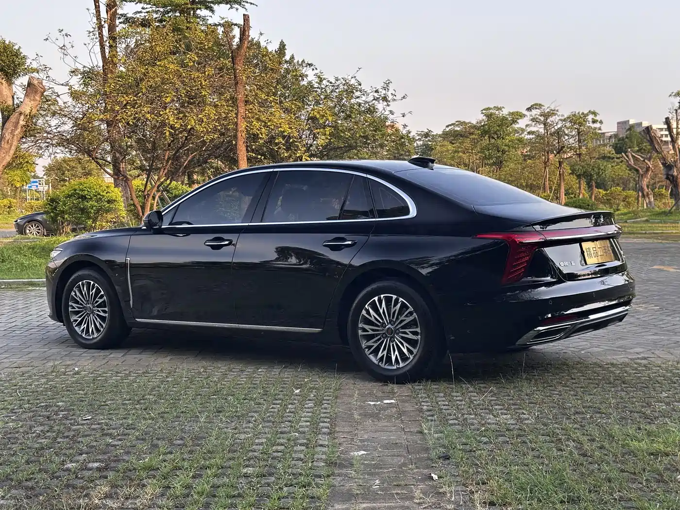 Hongqi H5 2025 1.5T DCT Flag Rhythm 500,000 Units Memorial Edition фото 10