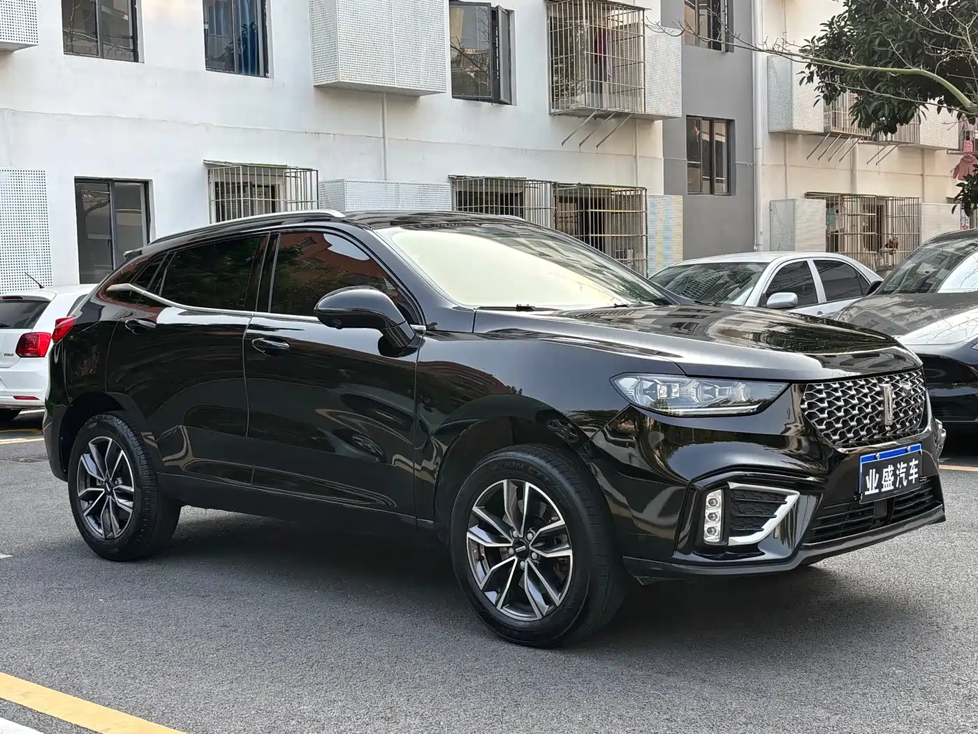 WEI PAI WEI BRAND VV5