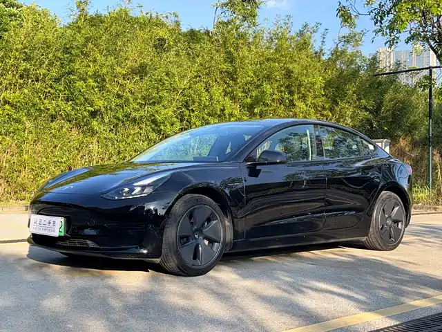 Tesla Model 3 Задний привод