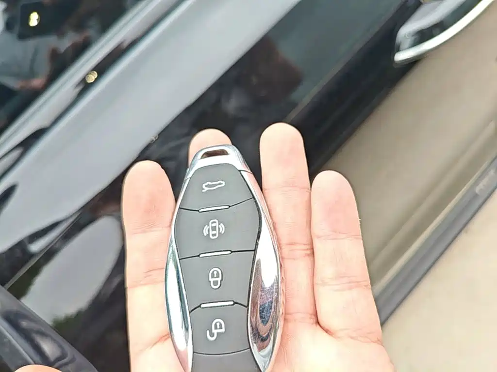 Hongqi HS3 PHEV 2024 2024 PHEV 115km Power Edition