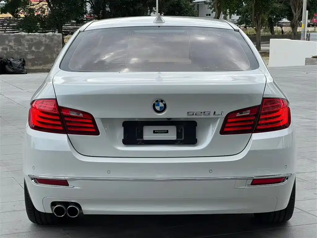 BMW 5 Series 2014 525Li Luxury Design Package фото 7
