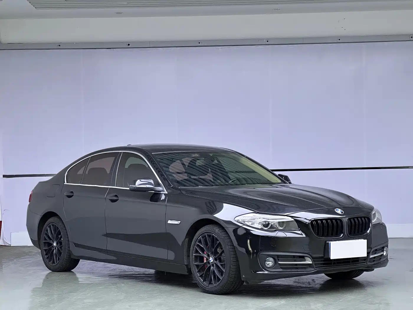 BMW 5 Series (Import) 2015 520i Elegance фото 3