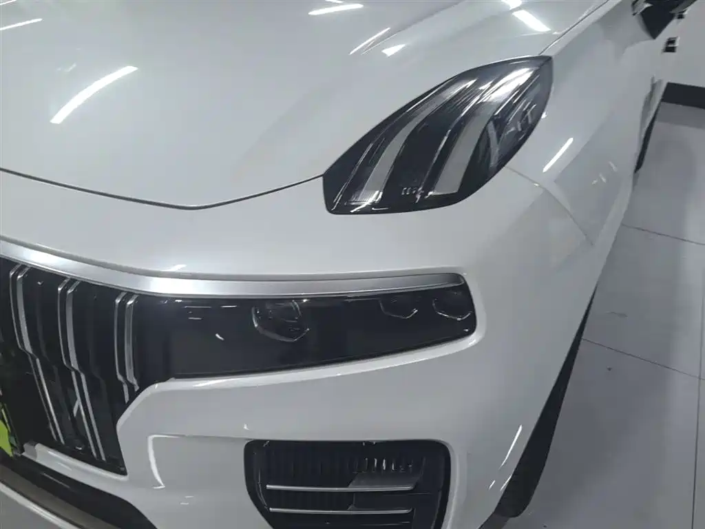 Lynk & Co 09 EM-P 2021 2.0T PHEV Ultra 6-seater фото 24