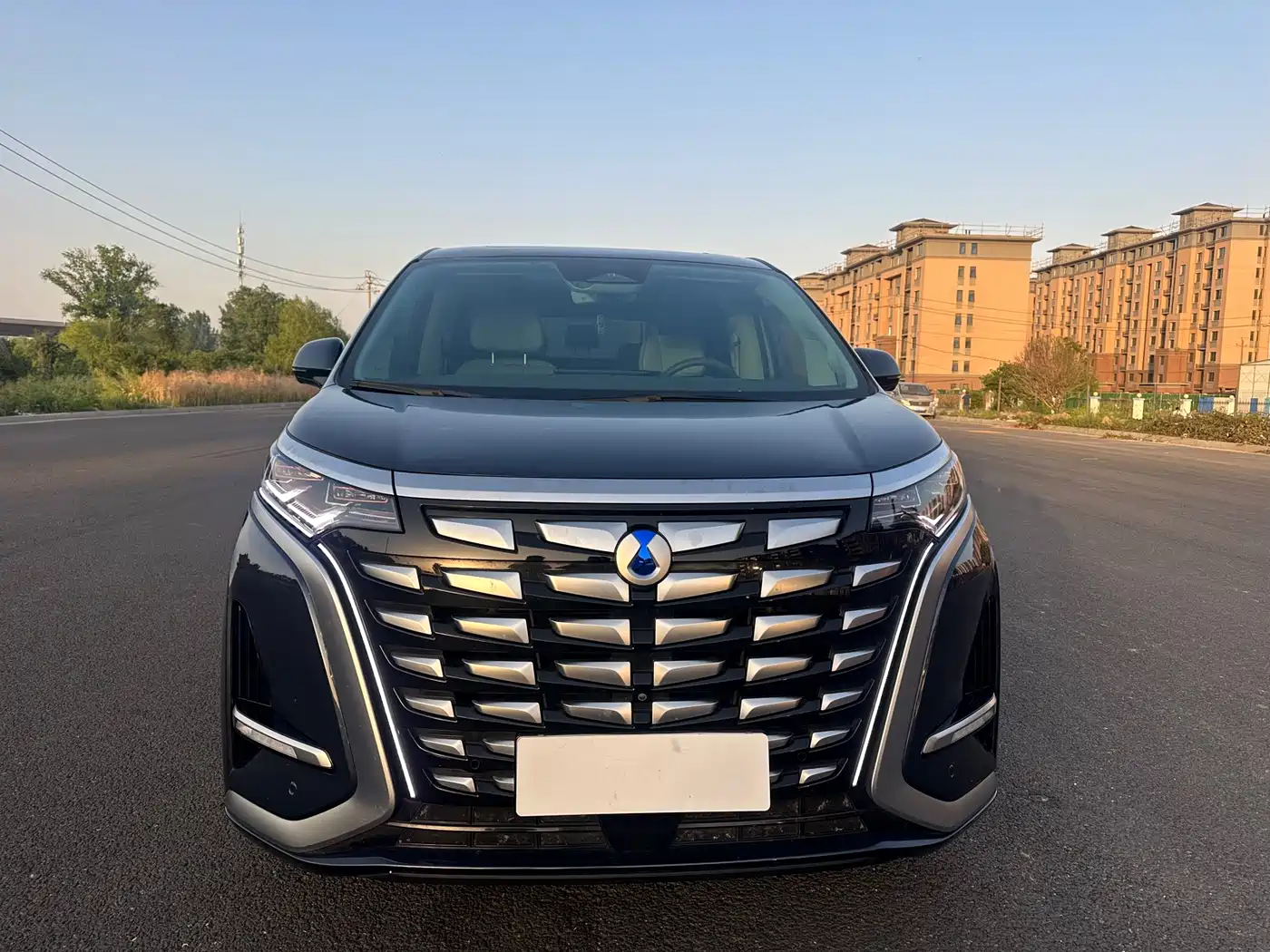 Denza D9 2022 DM-i 970 AWD Flagship фото 2