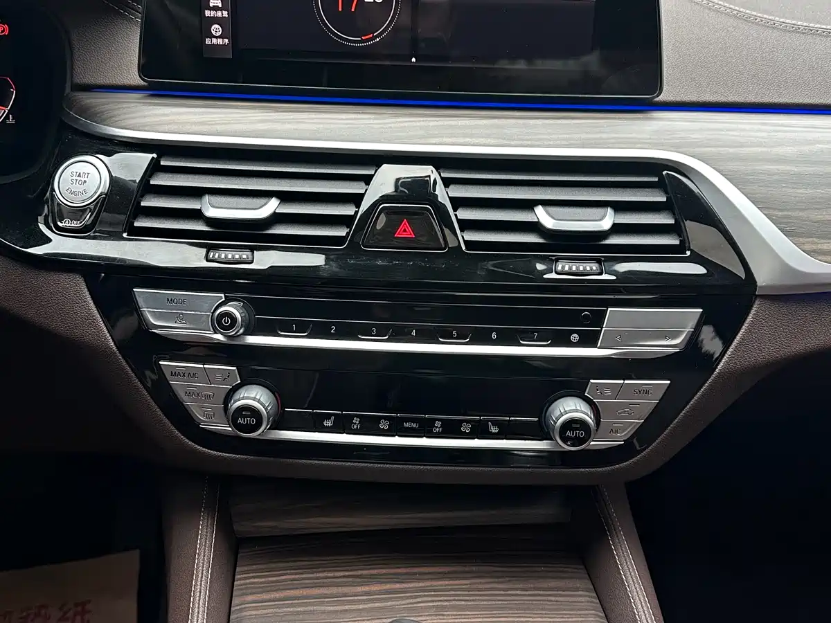 BMW 5 Series 2020 530Li Leading Luxury Package фото 12