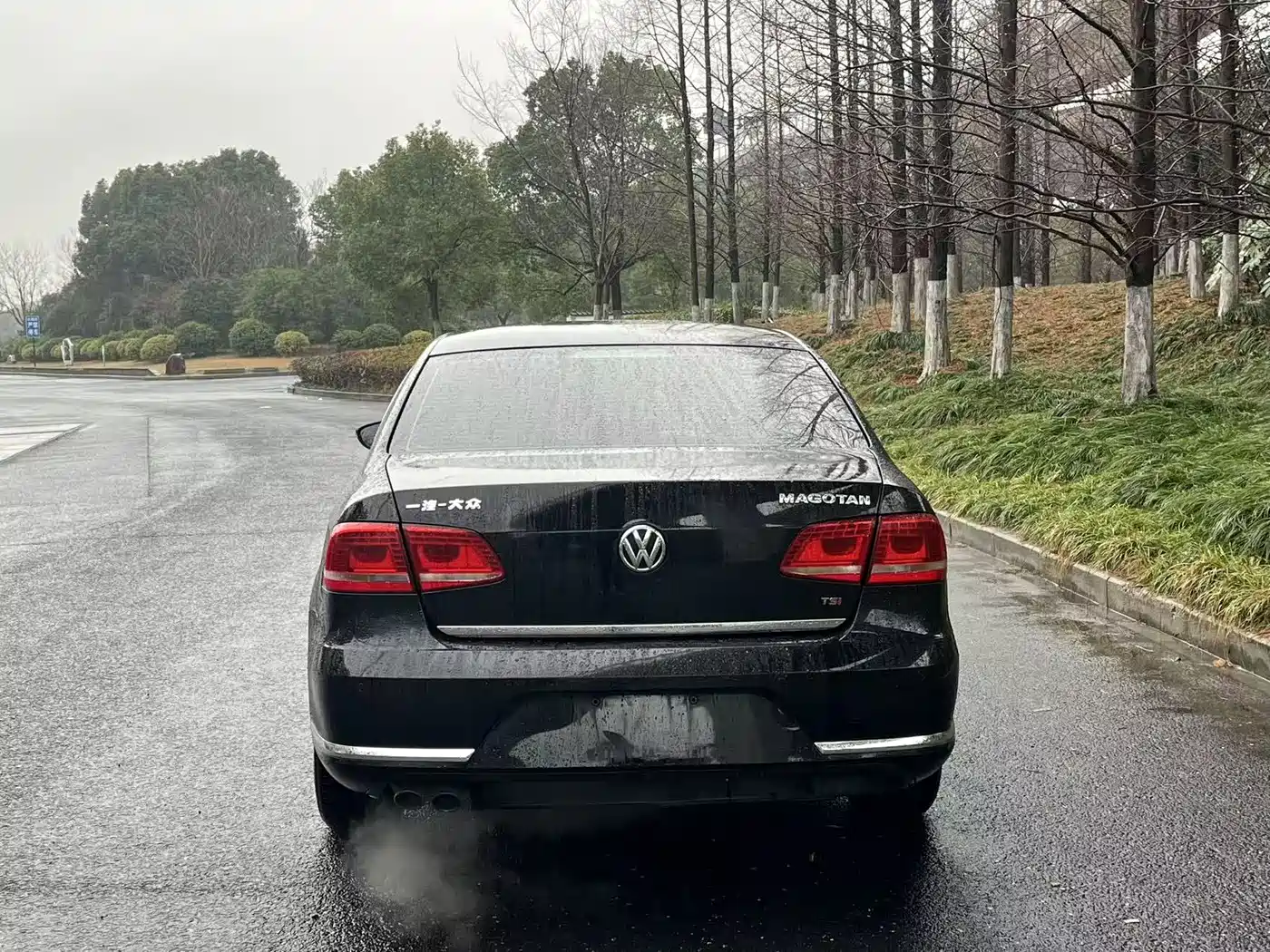 Volkswagen Magotan 2013 1.8TSI Luxury фото 11