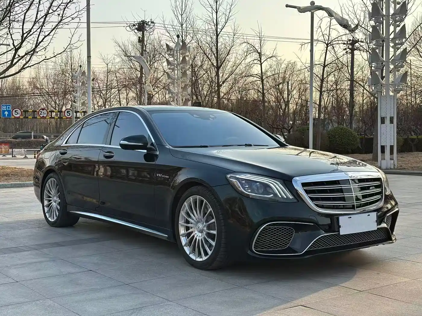 Mercedes-Benz S-Class AMG 2014 AMG S 65 L фото 2