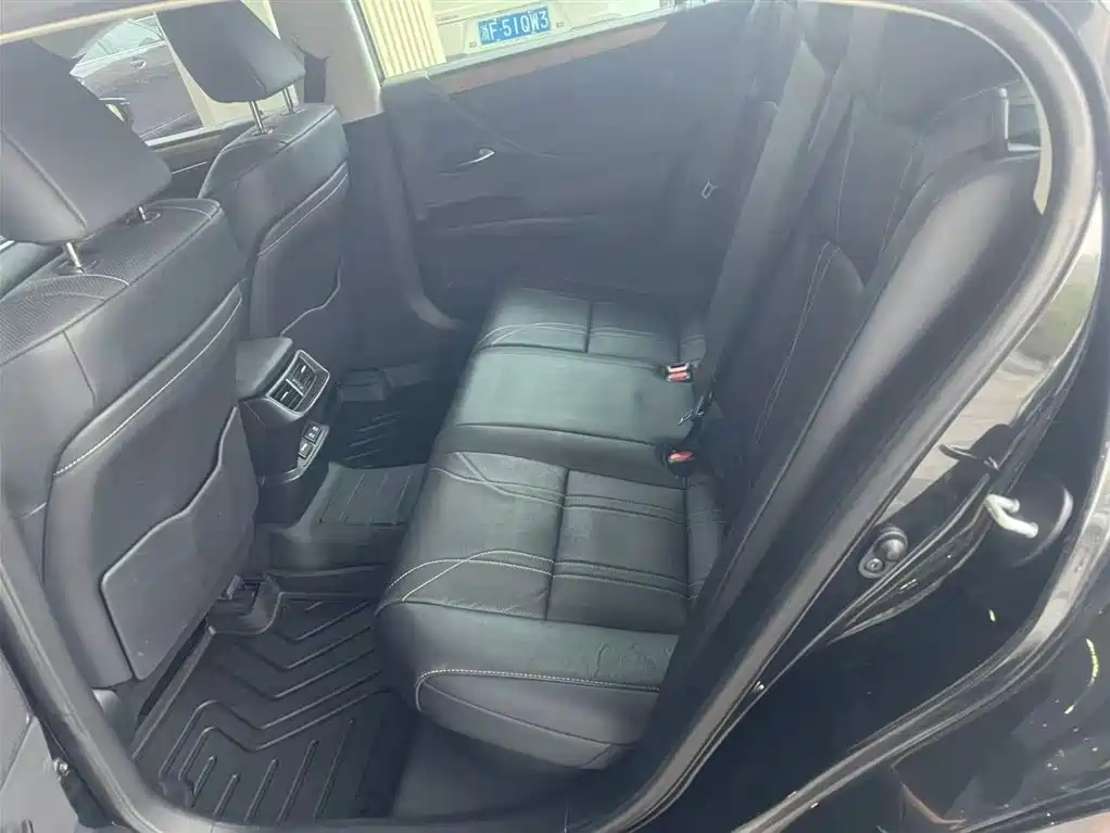Lexus ES 2020 Model 300h Premium Edition фото 4