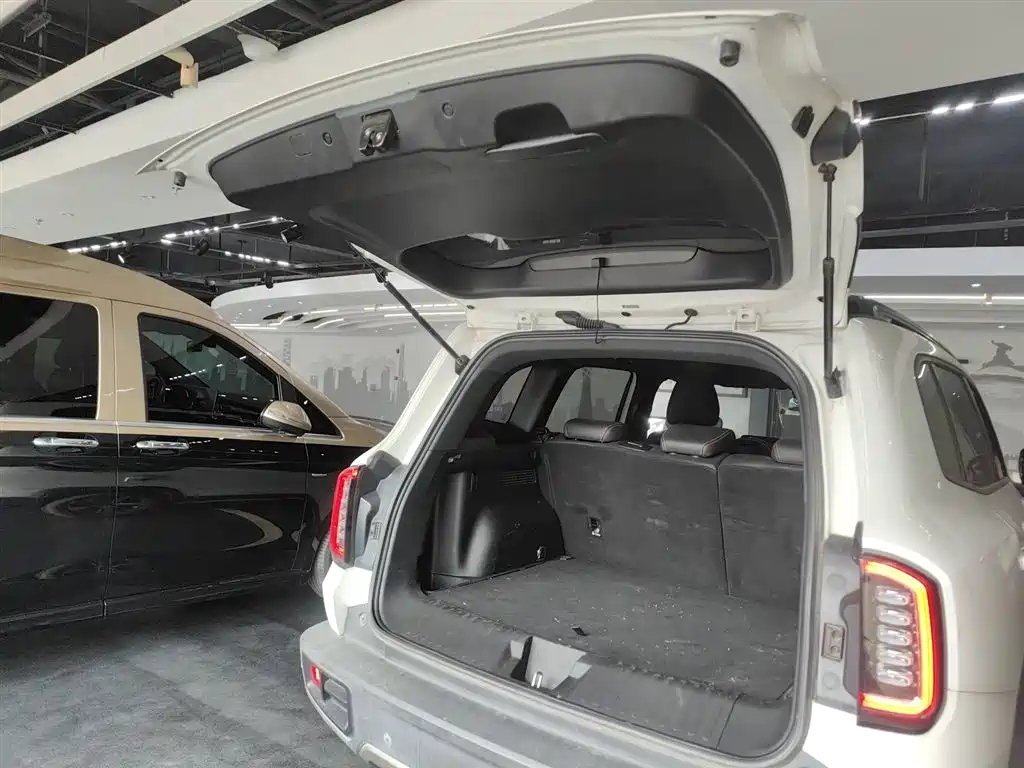 Haval Big Dog 2021 1.5T DCT 2WD Labrador Edition фото 19