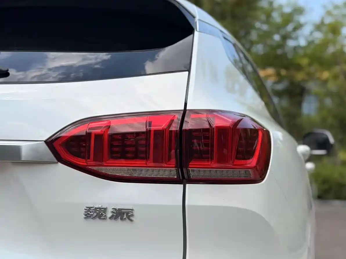 WEY VV6 2019 2020 2.0T 2WD Smart Protection+
