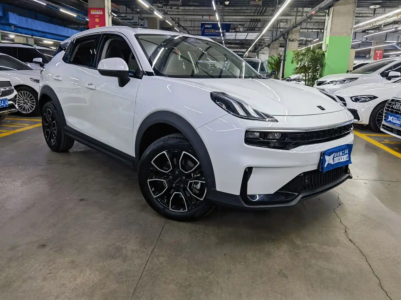 LYNK 06