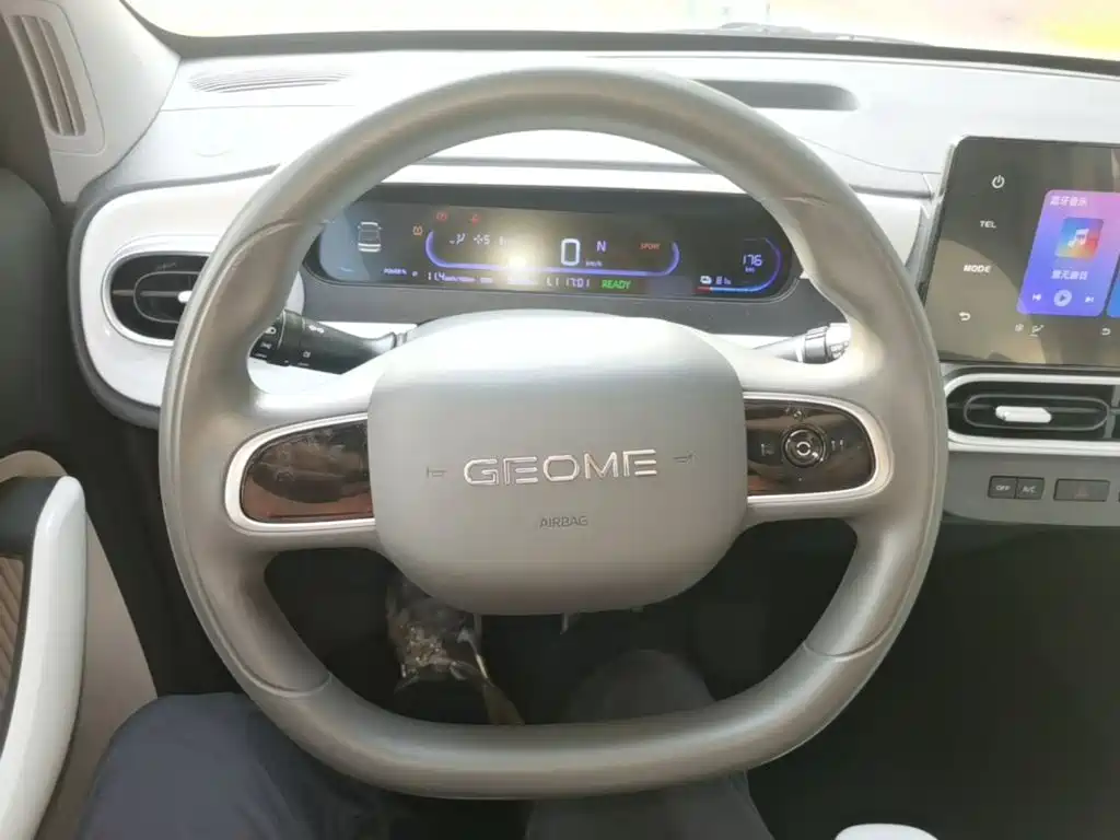 Geely Galaxy Panda 2025 2025 Panda mini 210km Vitality Bear