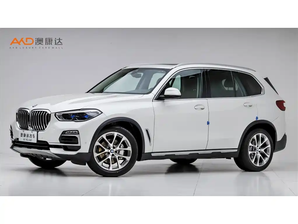 BMW X5 (Import) 2019 xDrive30i X Design Package
