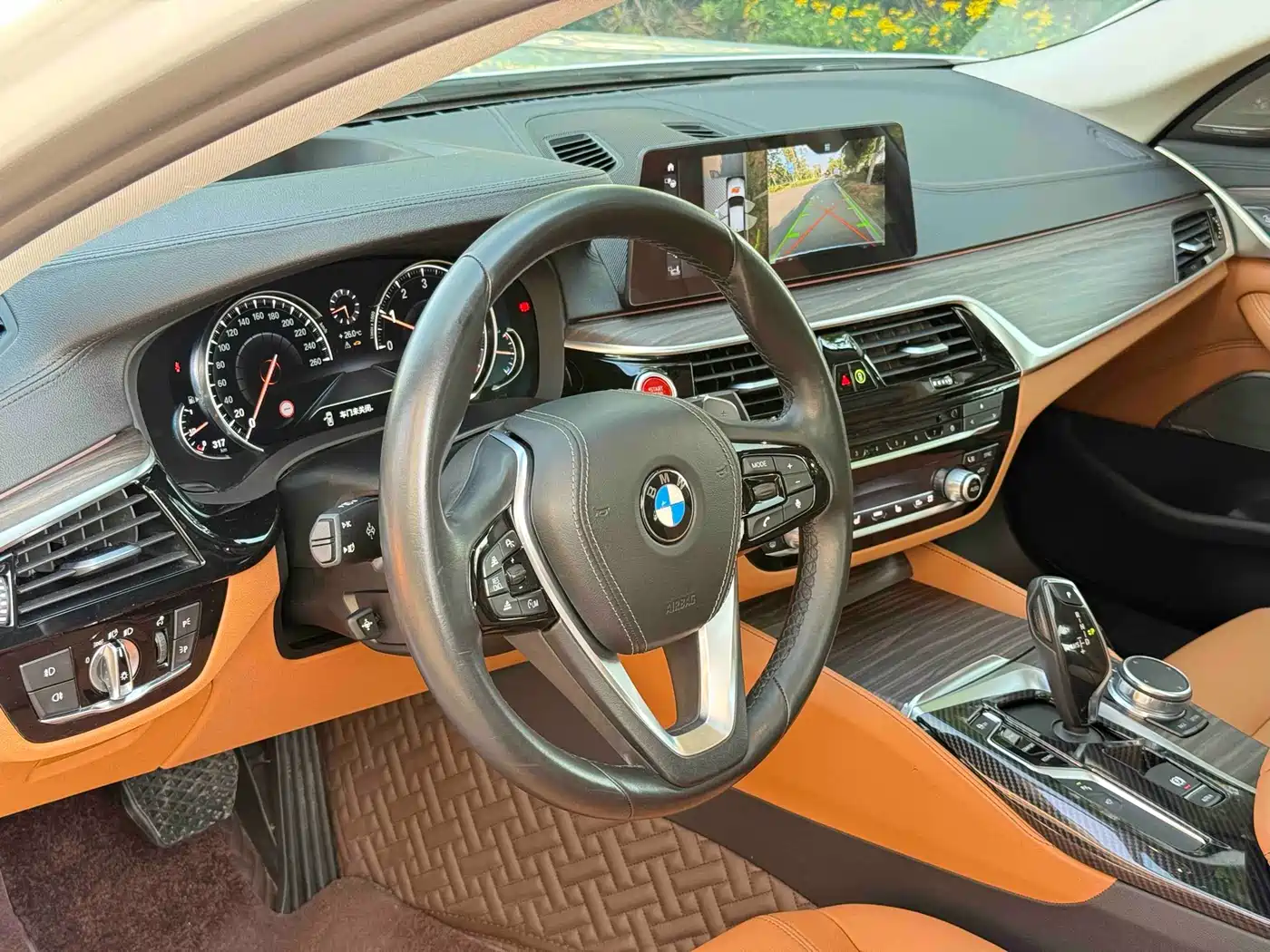 BMW 5 Series 2018 530Li Exclusive Luxury Package фото 11