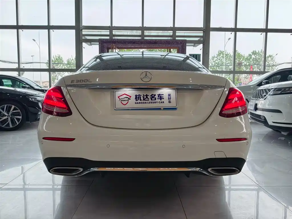 Mercedes-Benz E-Class 2020 E 300 L Sport Luxury Model фото 5