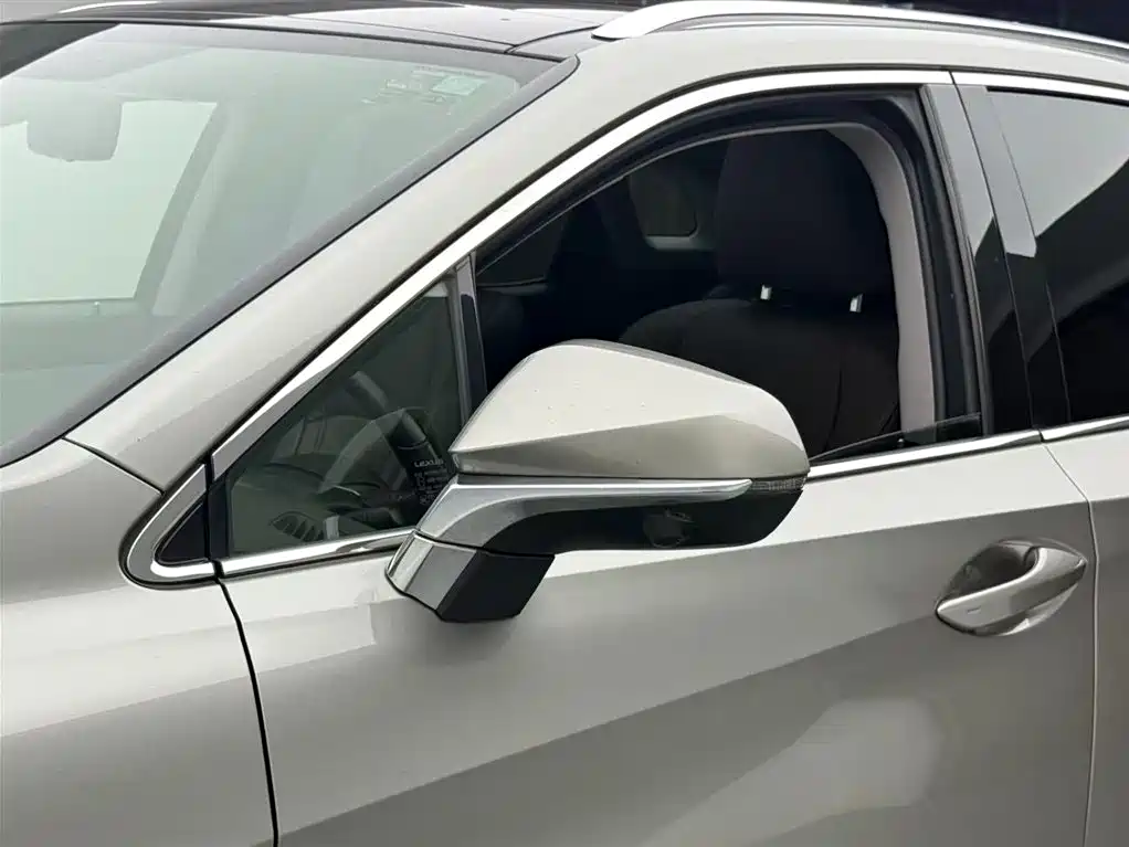 Lexus RX 2016 300 4WD Elegance Edition (China V) фото 14