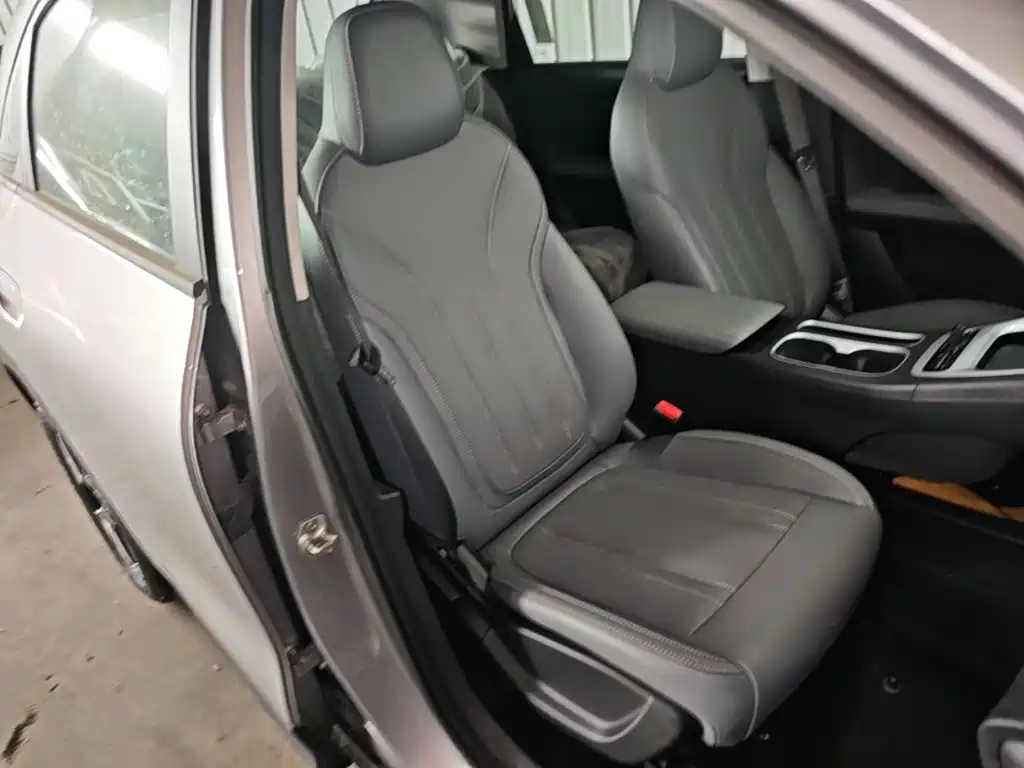 Geely Galaxy Starry Wish 2026 2026 Edition 410km Freedom Version