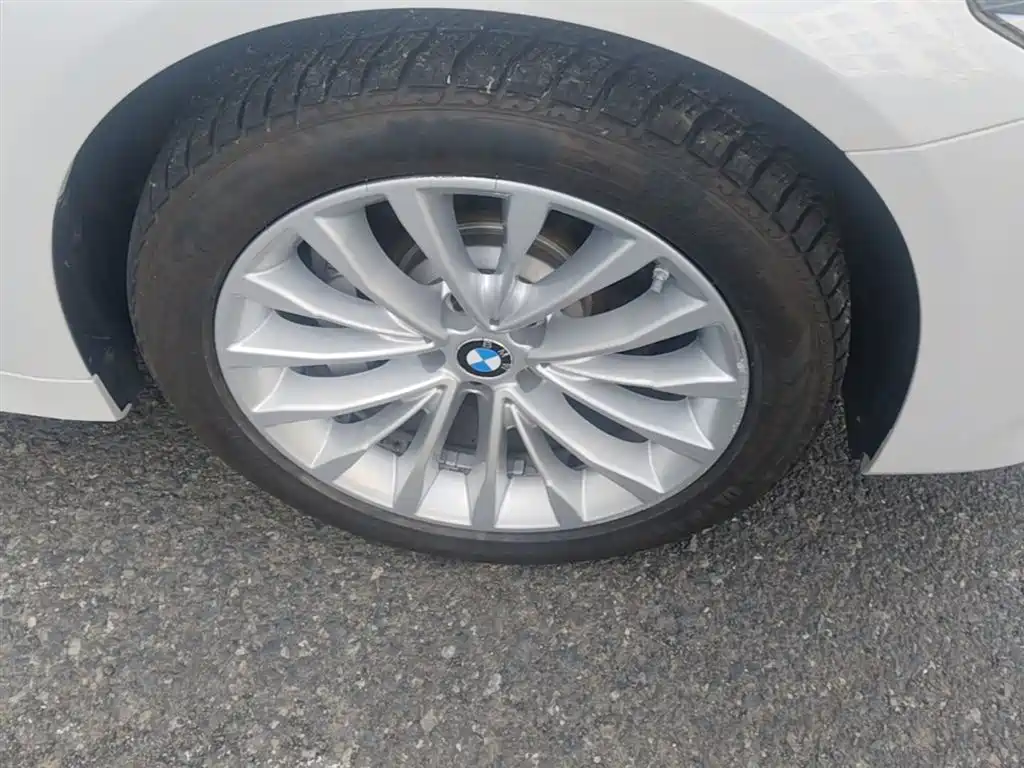 BMW 5 Series 2020 530Li xDrive Luxury Package фото 14
