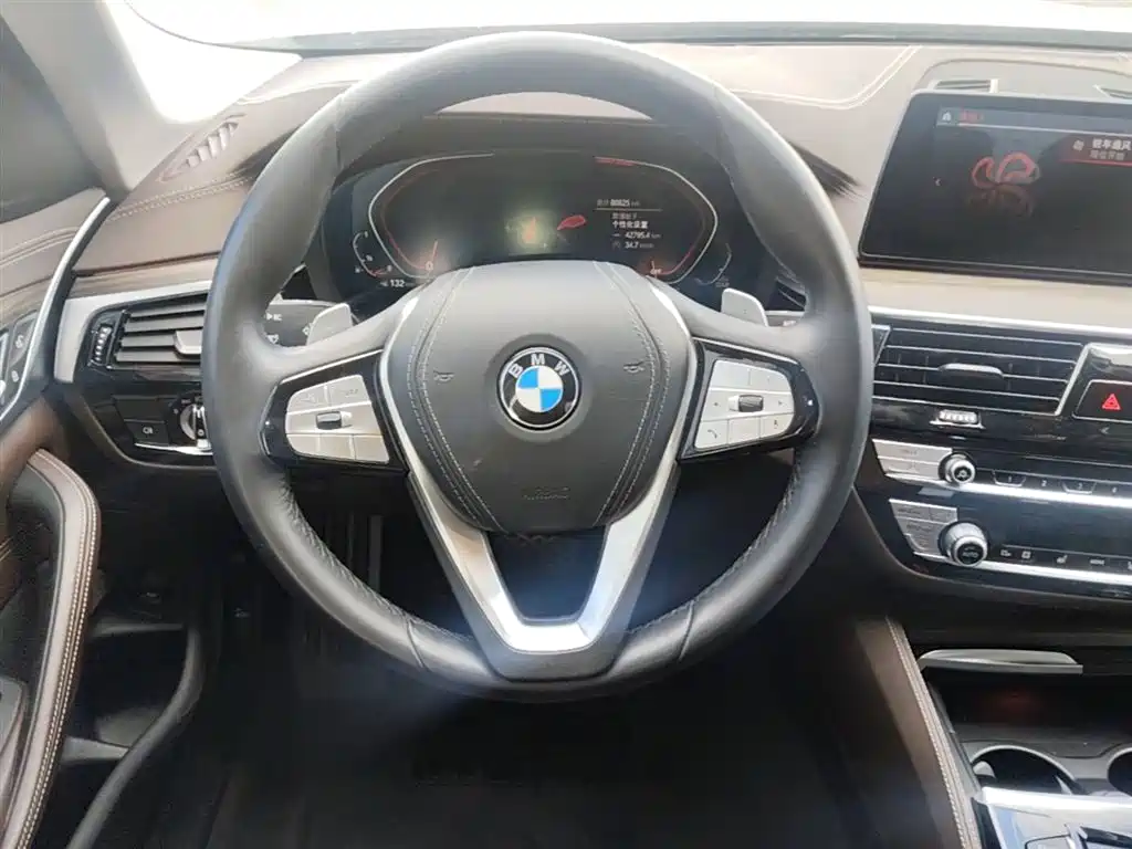BMW 5 Series 2020 530Li xDrive Luxury Package фото 17