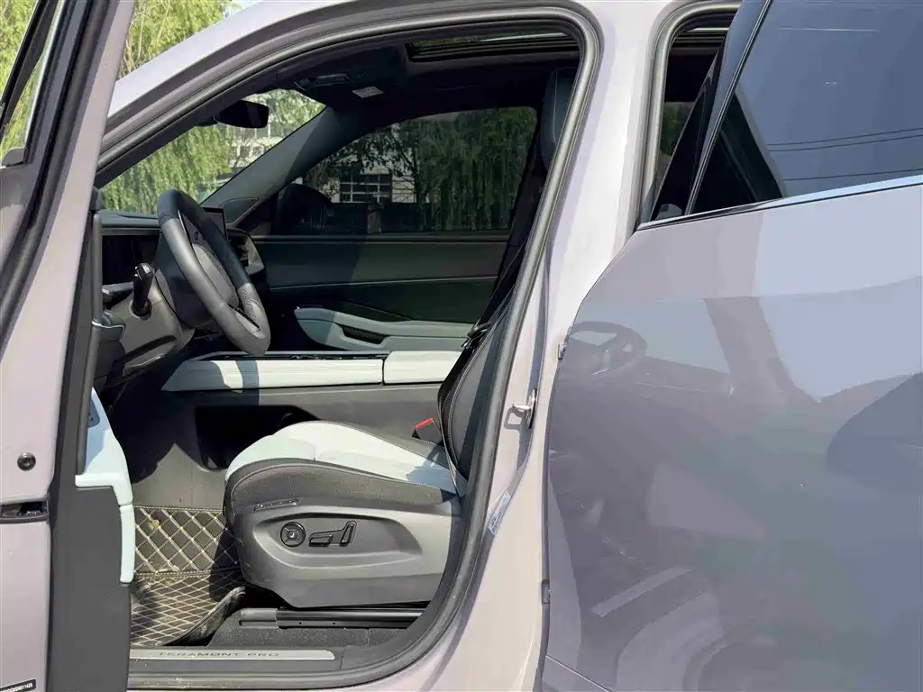 Volkswagen Teramont 2025 Model Teramont Pro 450TSI 4WD Cross Country Edition фото 6