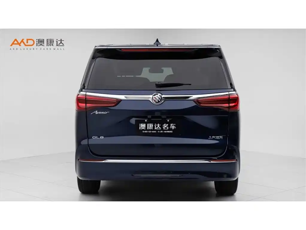 Buick GL8 2020 Avenir Four-Seat Prestige Edition фото 4