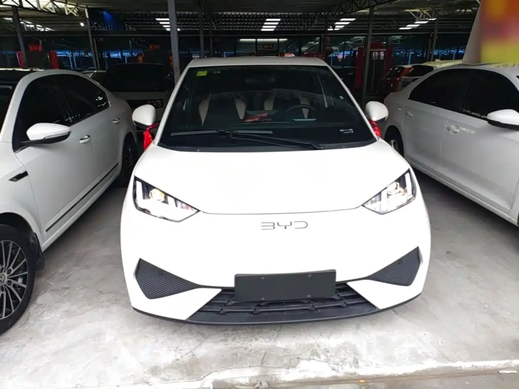 BYD Seagull 2026 2025 Smart Drive Edition 305km Vitality Version