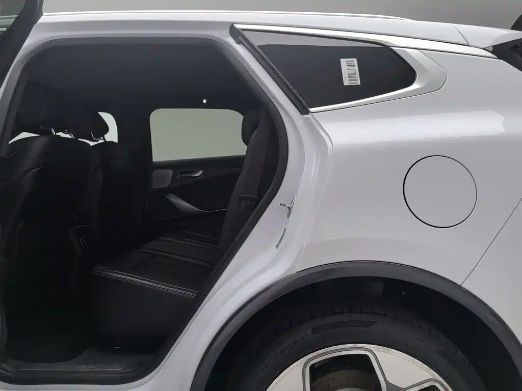 Denza X 2021 2020 Model PHEV Flagship Edition