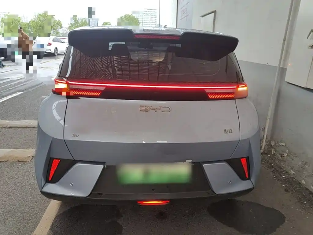 BYD Seagull 2026 2025 Smart Drive Edition 305km Vitality Version