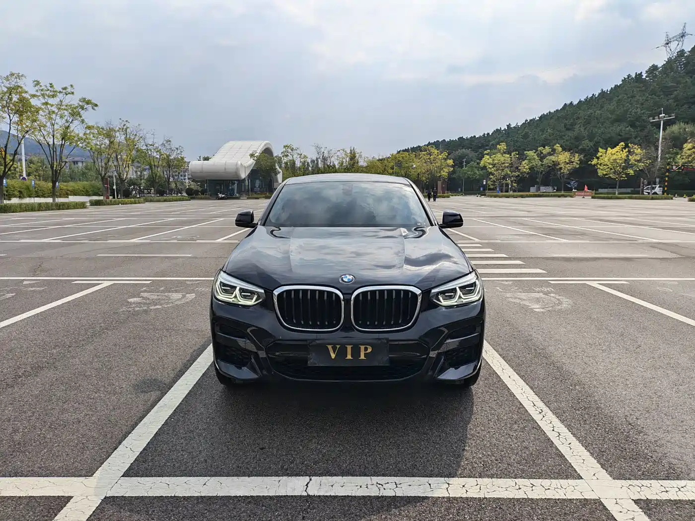 Фото 2 - BMW X4
