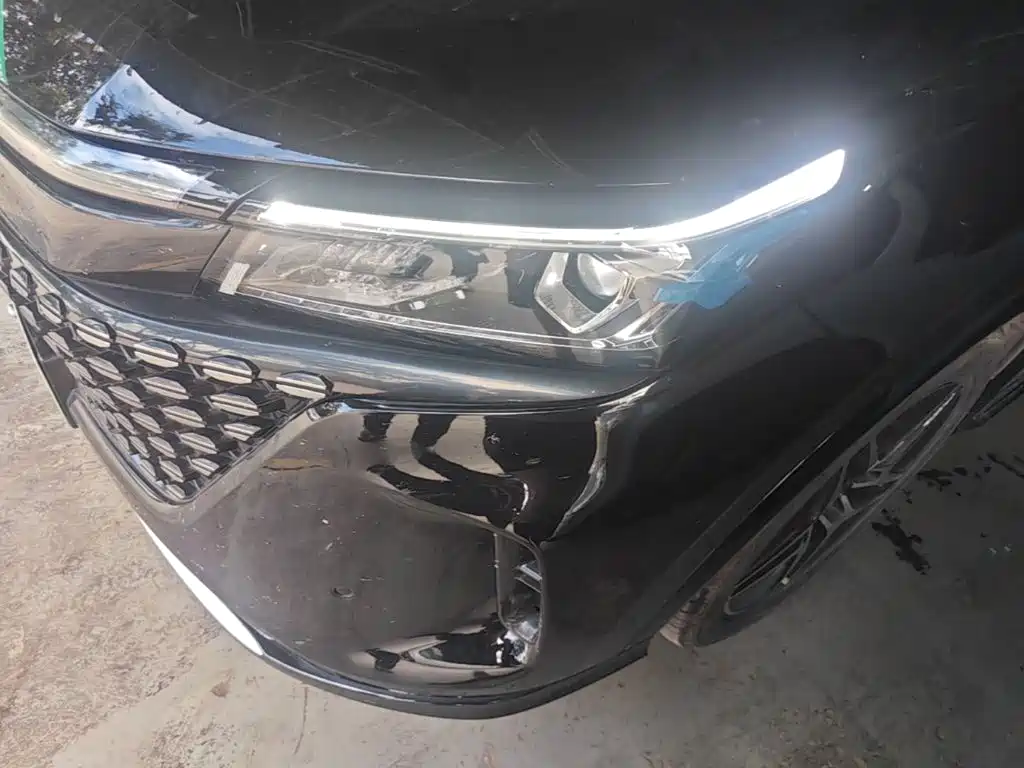 Landian E5 2024 2023 1.5L DE-i 110KM Flagship 7-seater