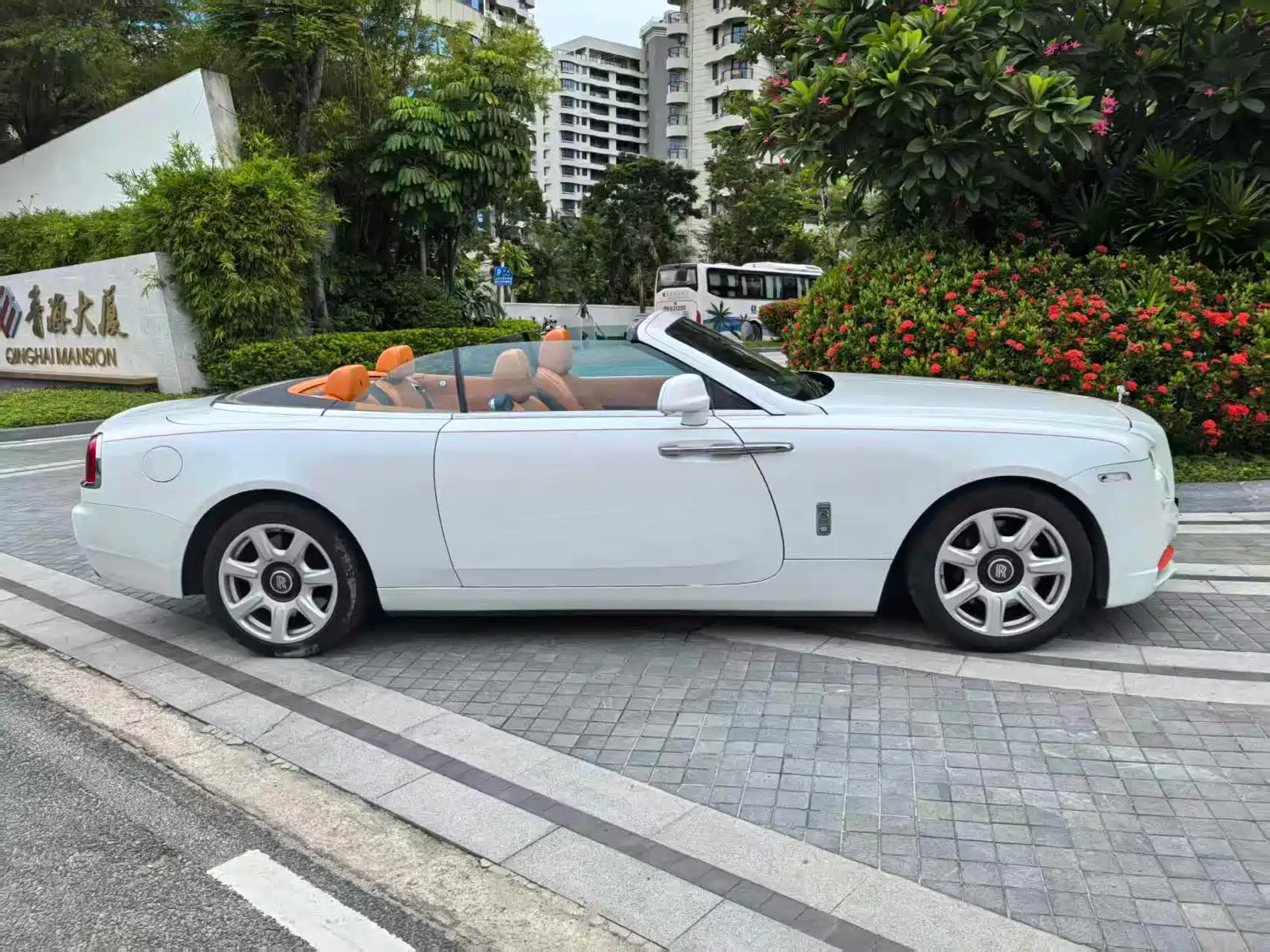 صورة 9 - Rolls-Royce Dawn