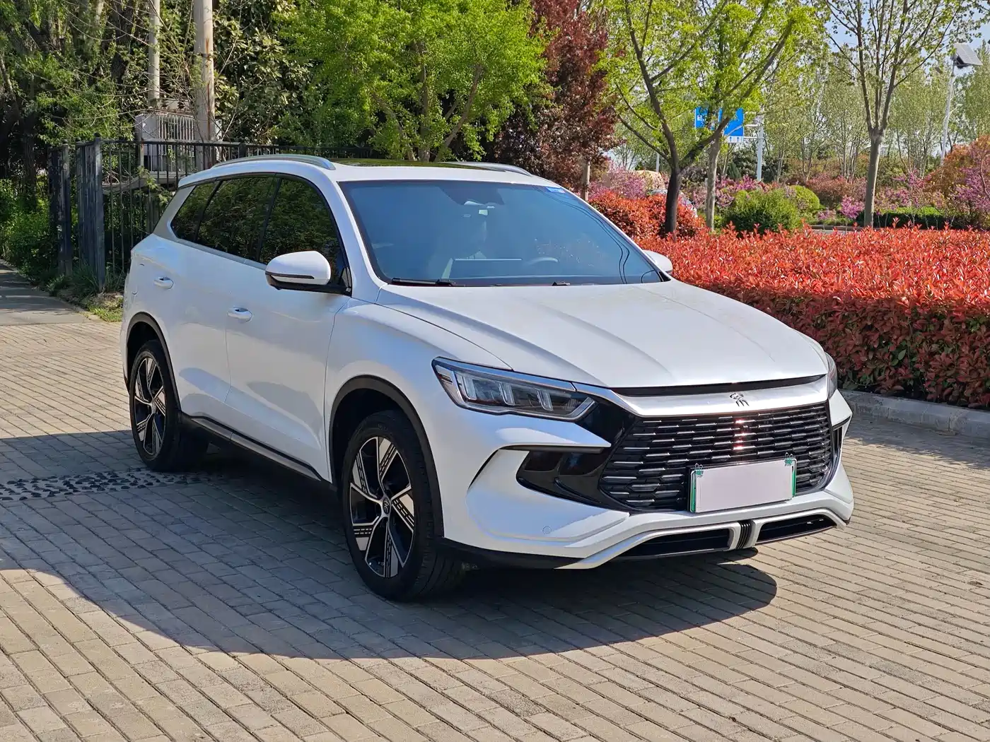 BYD SONGJIANG NEW ENERGY