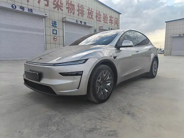 Tesla Model Y L Увеличенный запас хода, полный привод