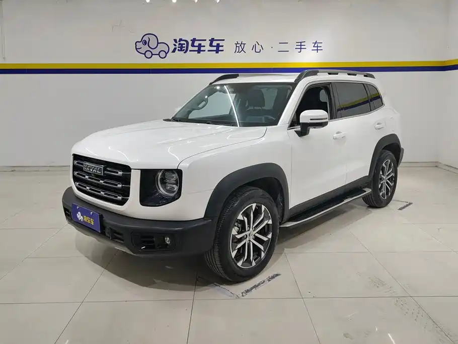 Haval Big Dog 2021 1.5T DCT 2WD Border Collie - Wangcai Edition