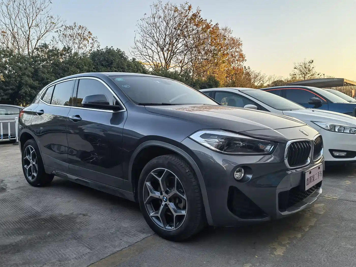 BMW X2 (Import) 2019 2019 sDrive20i M Off-Road Package China VI