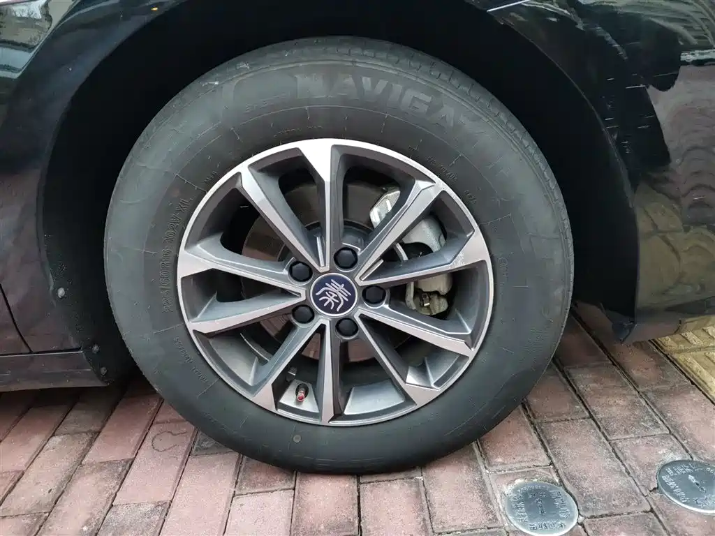 BYD Qin PLUS 2023 Champion Edition DM-i 55KM Leading фото 24
