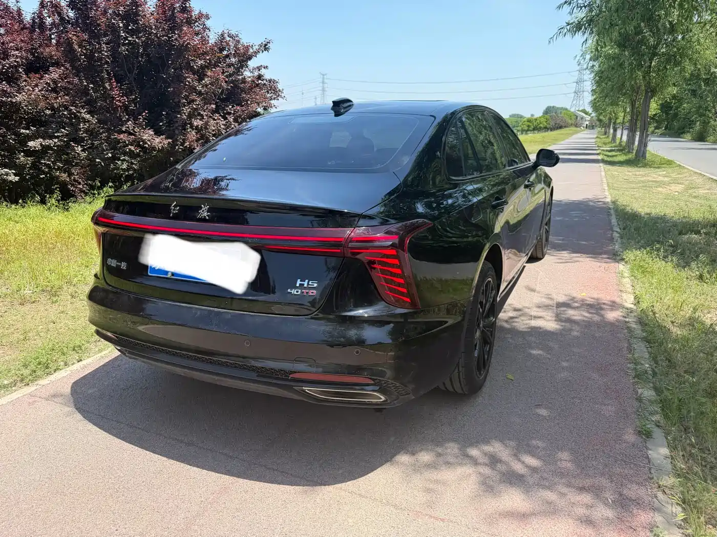 Hongqi H5 2025 2.0T Automatic Mystic Shadow фото 9