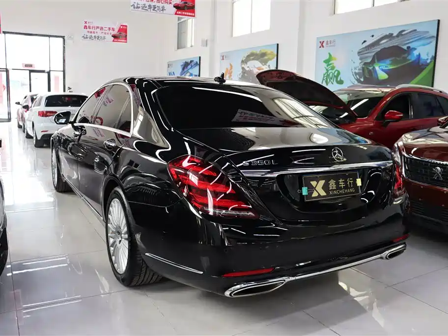 Mercedes-Benz S-Class 2020 S 350 L Business Edition Collector's Version фото 7