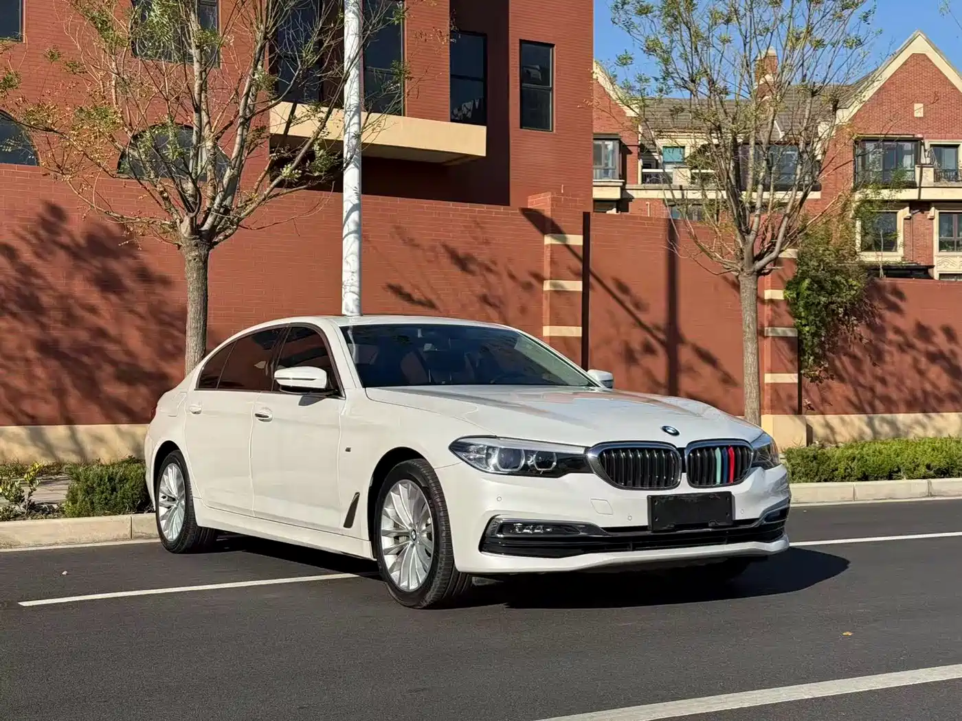 BMW 5 Series 2019 530Li Leading Luxury Package фото 3