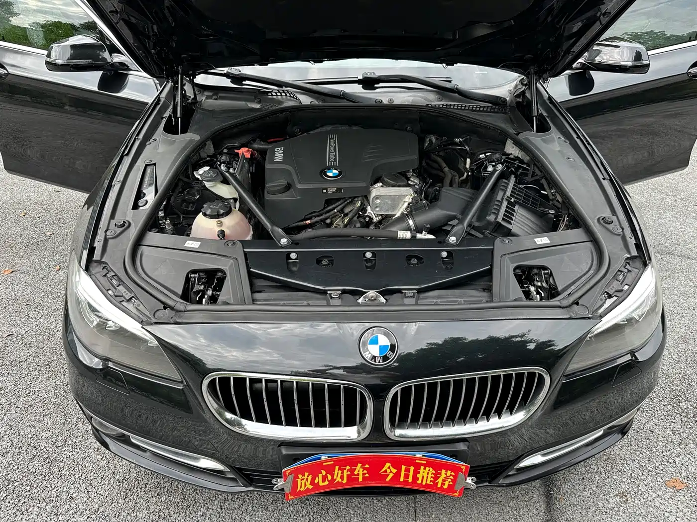 BMW 5 Series 2017 525Li Luxury Design Package фото 18