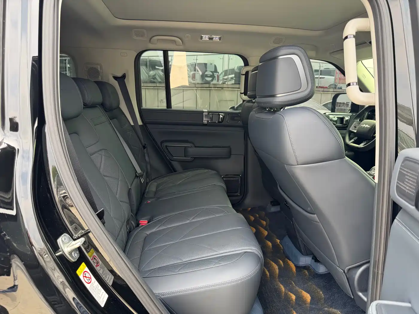 FANG CHENG BAO LEOPARD 5