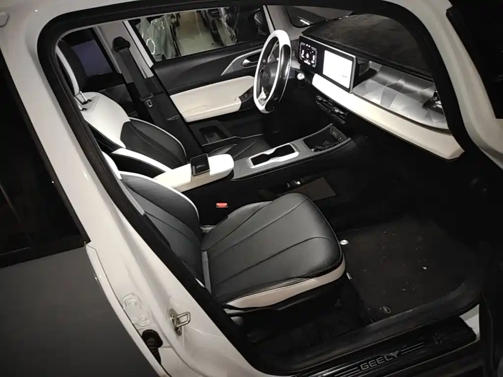 Geely Geometry E Firefly 2024 2024 Model 301km Starlight