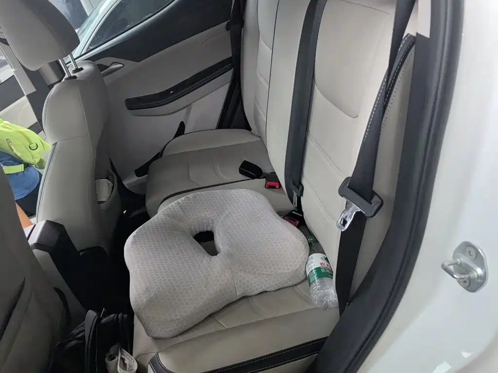 BYD Yuan Pro 2021 2021 401KM Luxury Model
