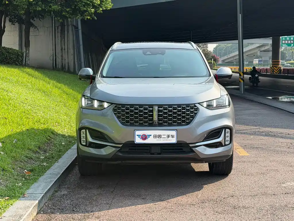 WEY VV6 2021 2021 2.0T 2WD Smart Enjoyment+