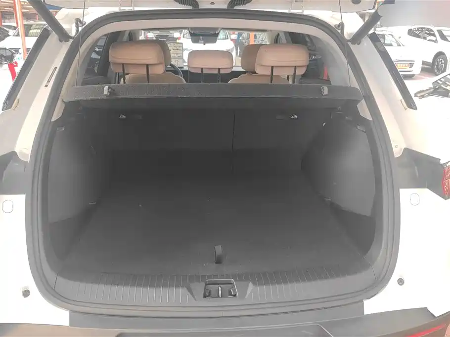 BYD Song Pro New Energy 2025 2nd Gen DM-i 75KM Surpass фото 4