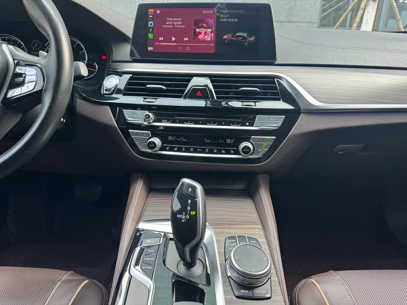 BMW 5 Series 2018 Facelift 530Li Leading Luxury Package фото 19